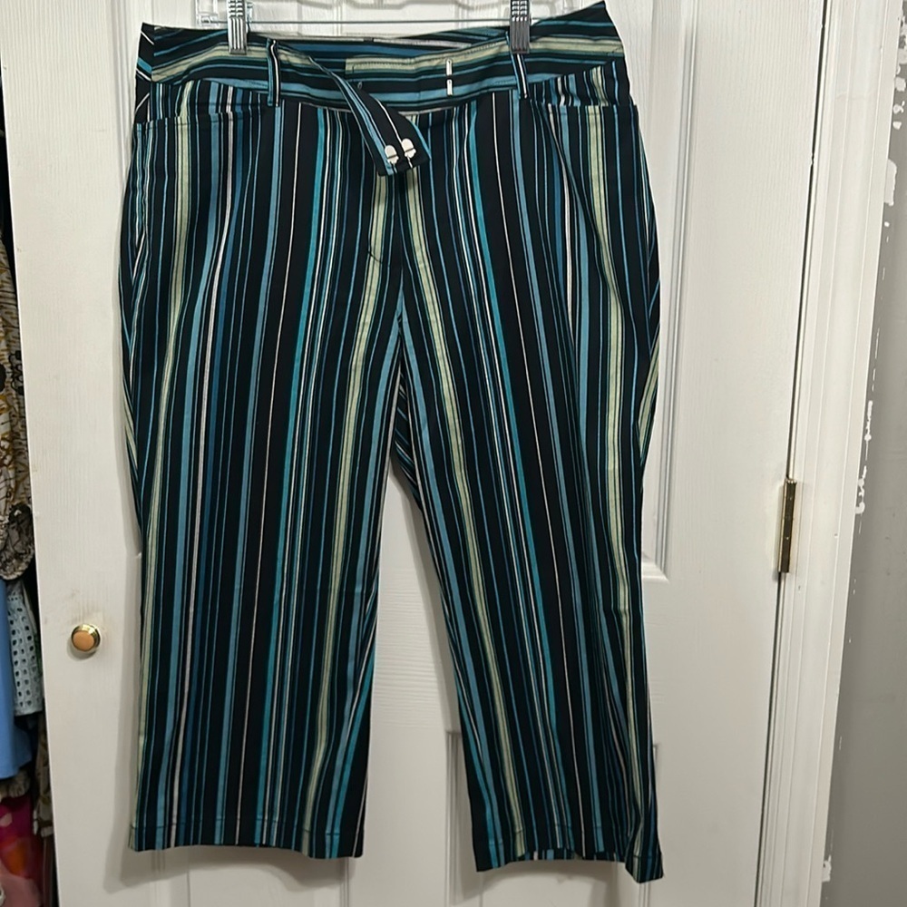 Venezia Capris. Striped. Size 14